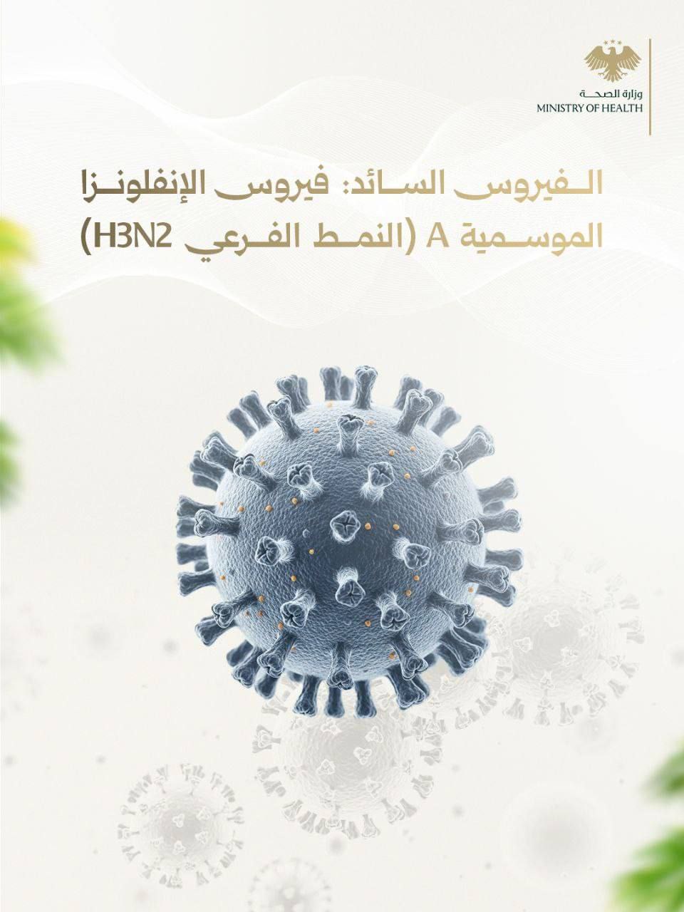 توضح وزارة الصحة أن الوضع لا يزال ضمن النطاق الموسمي المعتاد للإنفلونزا